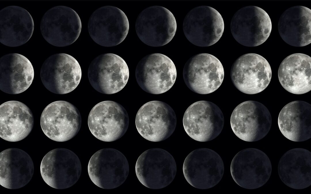 Månens olika faser