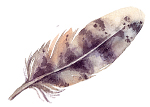 fjader11