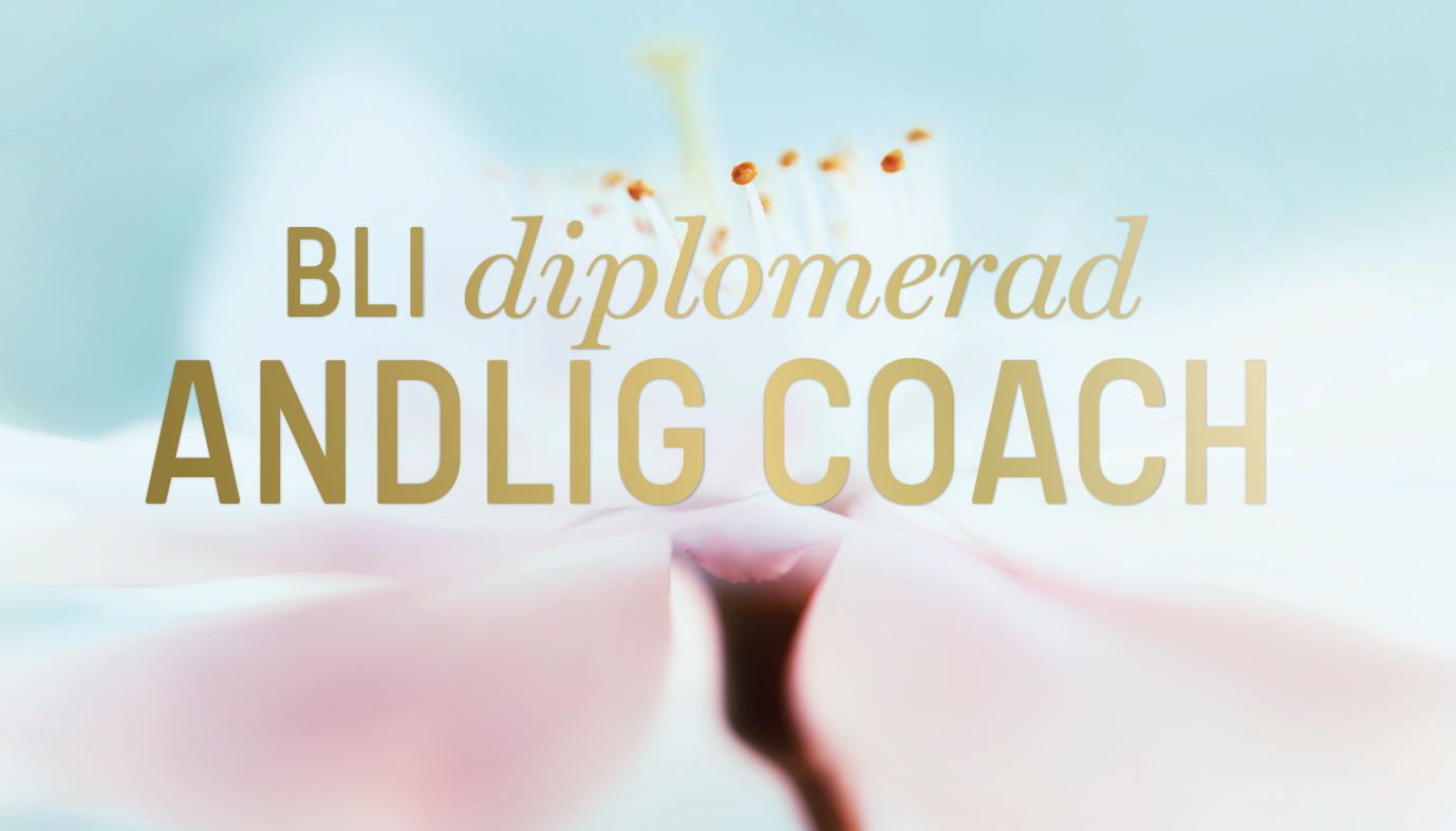 Bli diplomerad coach